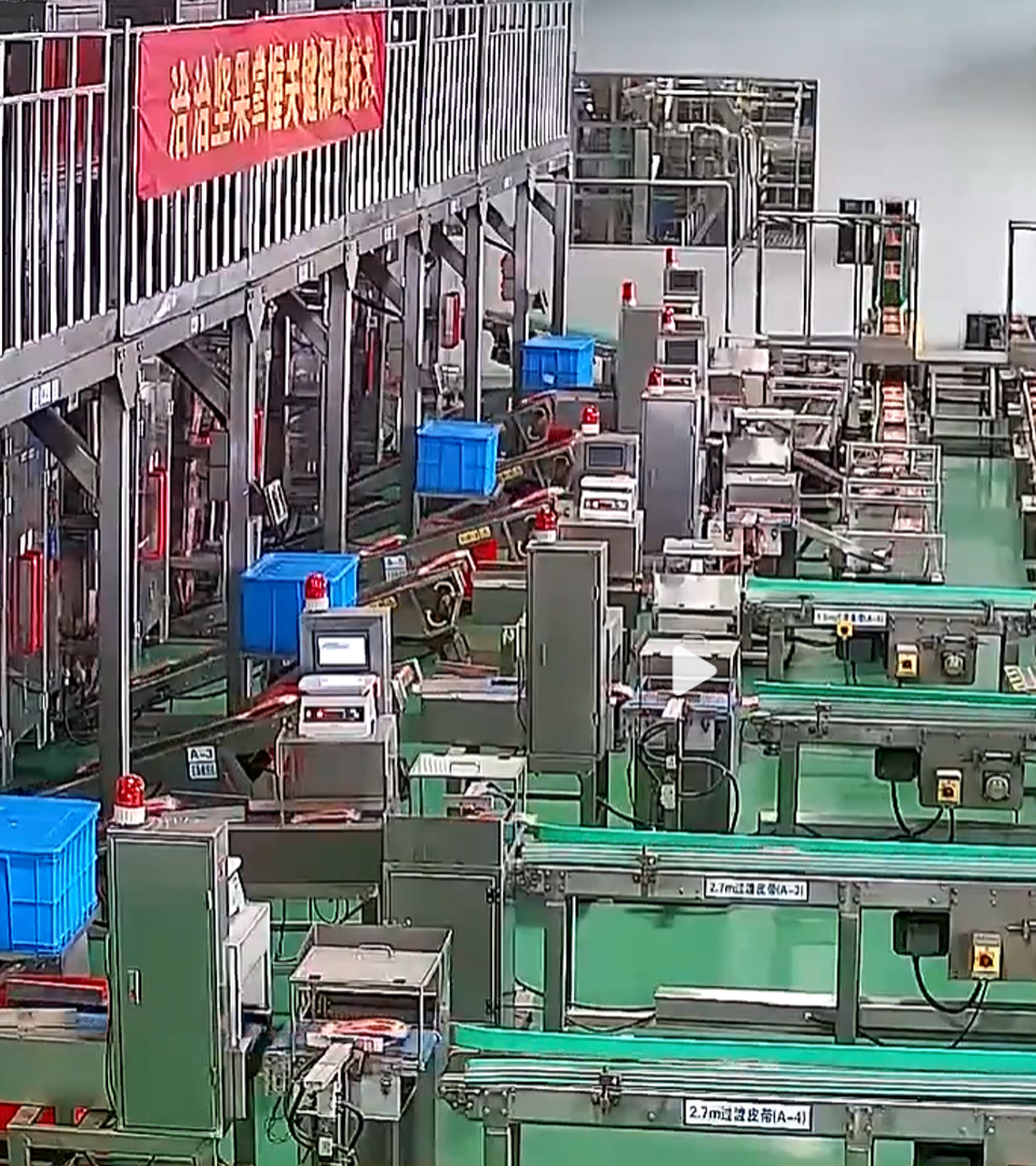 2020年JDB电子透明工厂直播